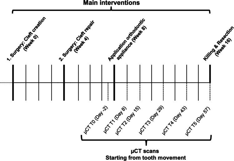 https://cdn.ncbi.nlm.nih.gov/pmc/blobs/e2b7/9474460/d43fd38bc4ef/784_2022_4537_Fig1_HTML.jpg
