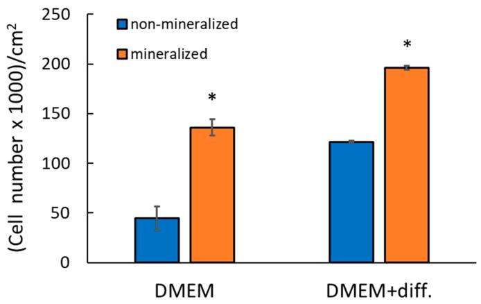 https://cdn.ncbi.nlm.nih.gov/pmc/blobs/e2b9/11988939/28b55286a1e2/ijms-26-02974-g018.jpg