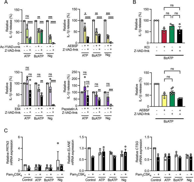 https://cdn.ncbi.nlm.nih.gov/pmc/blobs/e2ba/10666422/31b7ca05f267/12964_2023_1356_Fig3_HTML.jpg