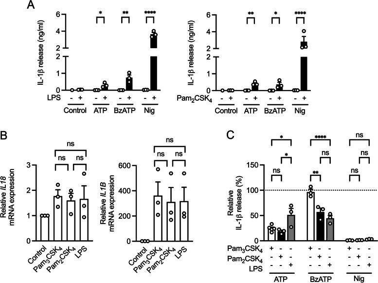 https://cdn.ncbi.nlm.nih.gov/pmc/blobs/e2ba/10666422/a813e6a48586/12964_2023_1356_Fig4_HTML.jpg