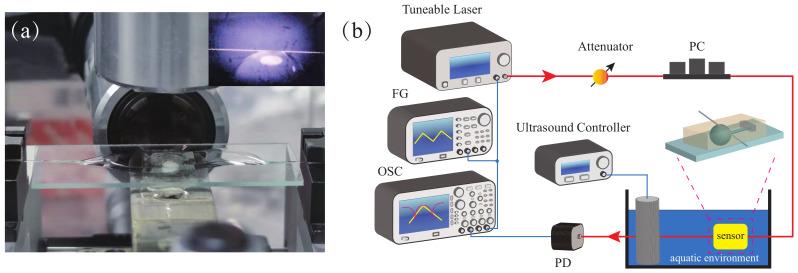 https://cdn.ncbi.nlm.nih.gov/pmc/blobs/e2ba/9185491/ce63620dfeb2/sensors-22-04190-g001.jpg