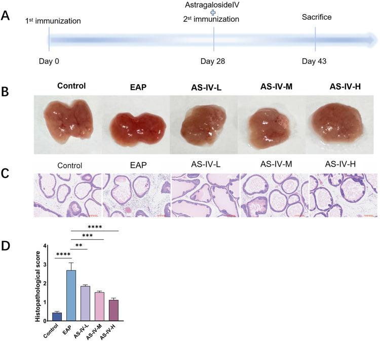 https://cdn.ncbi.nlm.nih.gov/pmc/blobs/e2bd/12318839/03f812f8b539/JIR-18-10061-g0001.jpg