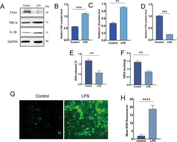 https://cdn.ncbi.nlm.nih.gov/pmc/blobs/e2bd/12318839/4d4a40c51991/JIR-18-10061-g0003.jpg