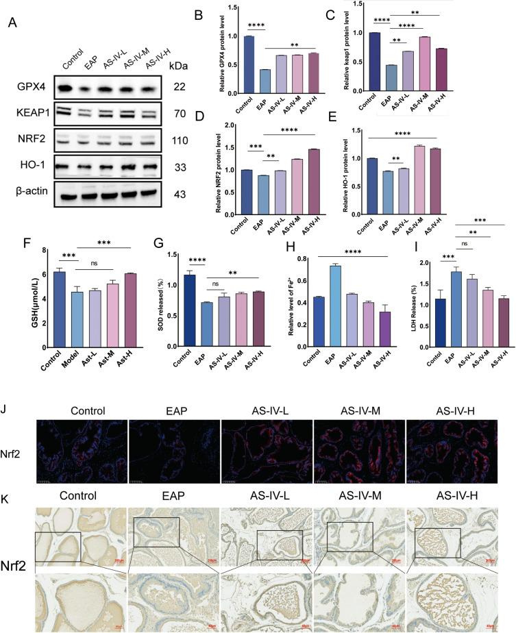 https://cdn.ncbi.nlm.nih.gov/pmc/blobs/e2bd/12318839/c14dad5e3891/JIR-18-10061-g0002.jpg
