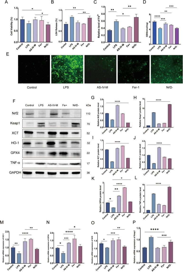 https://cdn.ncbi.nlm.nih.gov/pmc/blobs/e2bd/12318839/c384d7e48174/JIR-18-10061-g0005.jpg