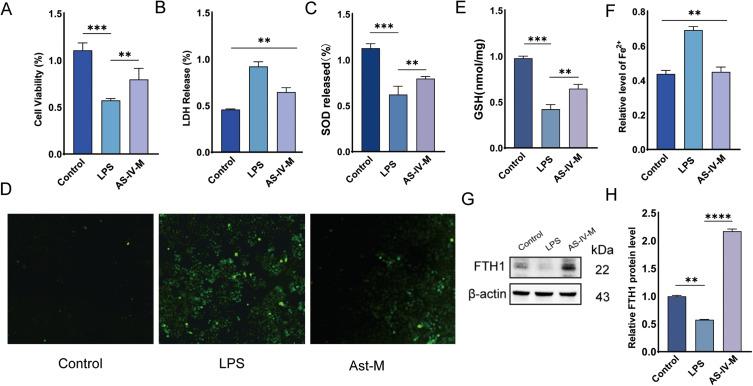 https://cdn.ncbi.nlm.nih.gov/pmc/blobs/e2bd/12318839/c7579d16a192/JIR-18-10061-g0004.jpg
