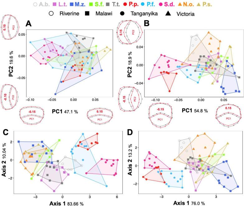 https://cdn.ncbi.nlm.nih.gov/pmc/blobs/e2bd/8908630/2a878cd24a47/12862_2022_1984_Fig2_HTML.jpg