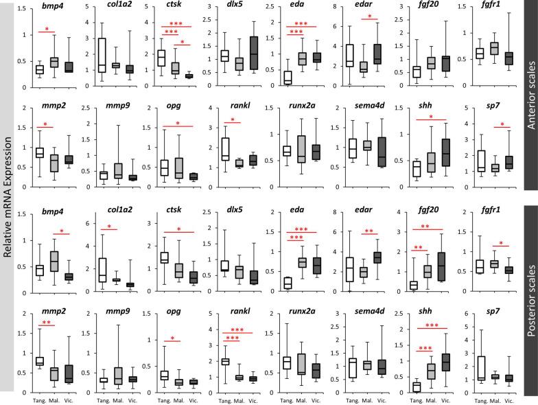 https://cdn.ncbi.nlm.nih.gov/pmc/blobs/e2bd/8908630/c3efb0af1249/12862_2022_1984_Fig4_HTML.jpg