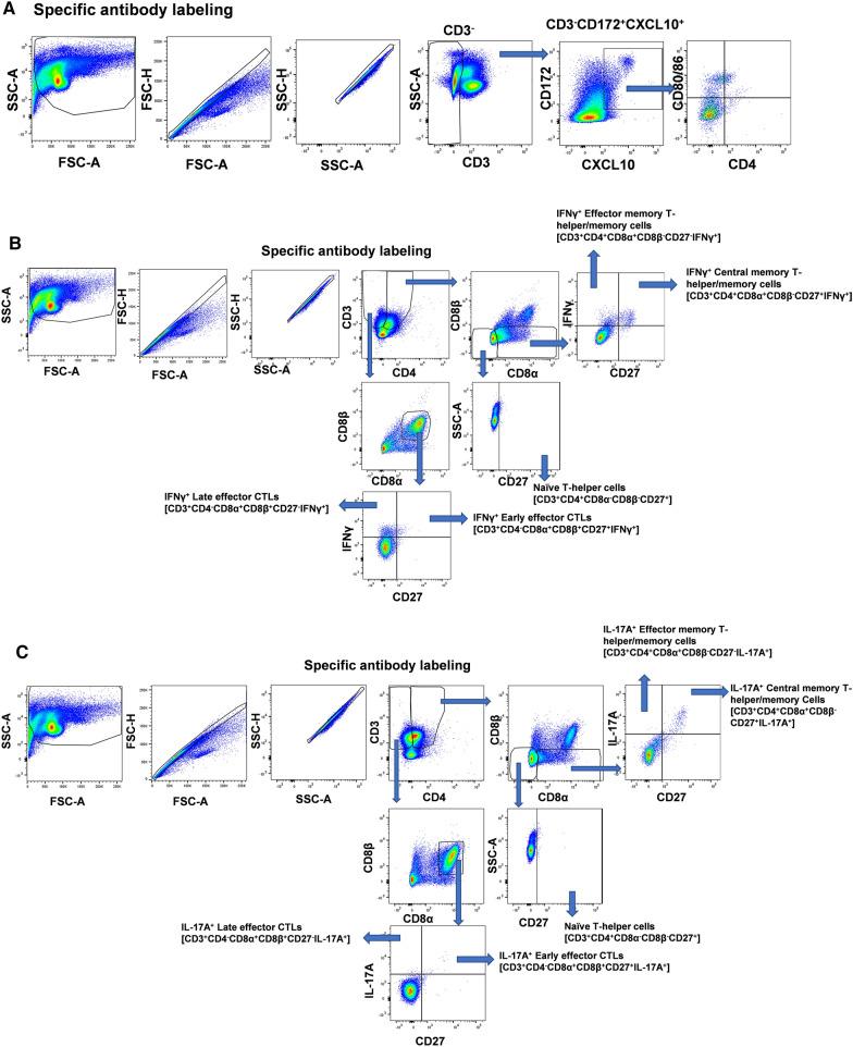 https://cdn.ncbi.nlm.nih.gov/pmc/blobs/e2bd/9652892/cd829a6db261/12951_2022_1677_Fig2_HTML.jpg