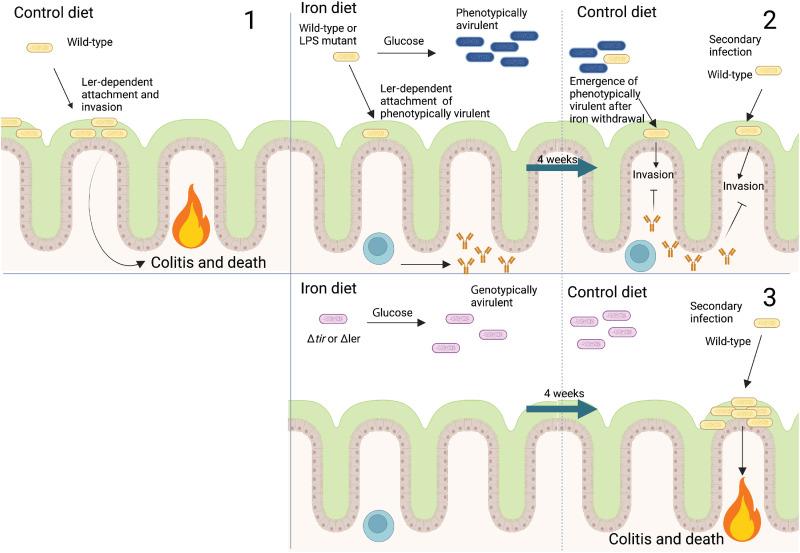 https://cdn.ncbi.nlm.nih.gov/pmc/blobs/e2be/10289649/20b2594eea8c/sciadv.adg8719-f7.jpg