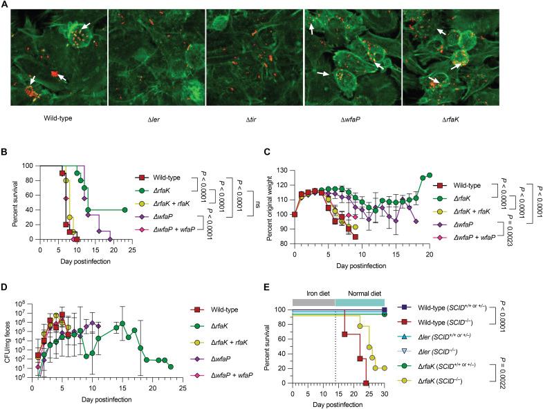 https://cdn.ncbi.nlm.nih.gov/pmc/blobs/e2be/10289649/f3beb365852f/sciadv.adg8719-f5.jpg