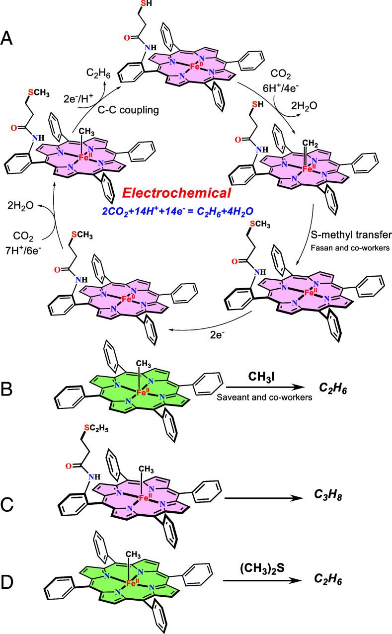 https://cdn.ncbi.nlm.nih.gov/pmc/blobs/e2be/11745356/04383a82e44d/pnas.2417764122sch01.jpg