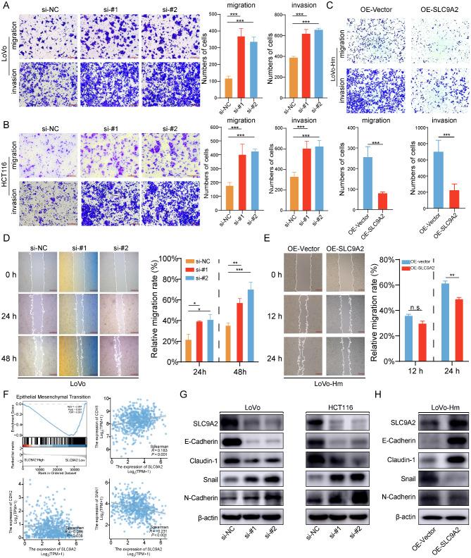 https://cdn.ncbi.nlm.nih.gov/pmc/blobs/e2bf/12139321/a2e1d57c26da/13046_2025_3422_Fig3_HTML.jpg