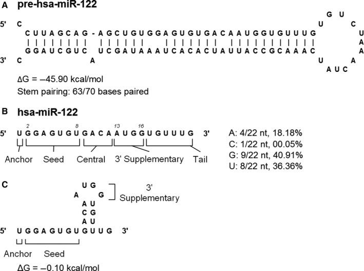 https://cdn.ncbi.nlm.nih.gov/pmc/blobs/e2c0/5867149/789d3be76304/JCMM-22-2071-g004.jpg