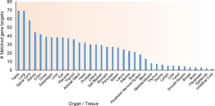 https://cdn.ncbi.nlm.nih.gov/pmc/blobs/e2c0/5867149/d8603c43ab40/JCMM-22-2071-g003.jpg