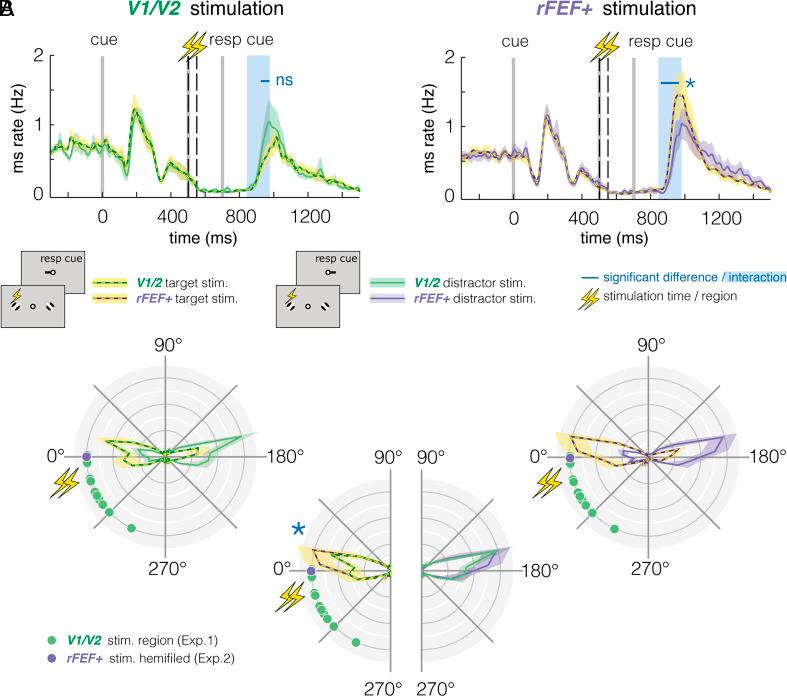 https://cdn.ncbi.nlm.nih.gov/pmc/blobs/e2c1/10013745/bcc6fcc6526c/pnas.2219635120fig04.jpg