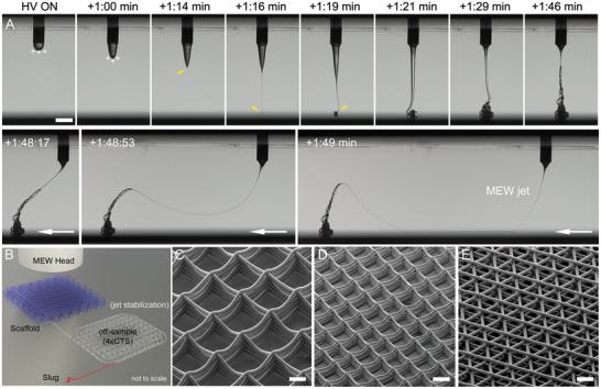 https://cdn.ncbi.nlm.nih.gov/pmc/blobs/e2c1/11469188/f3937b5aebc9/ADHM-10-2001232-g001.jpg