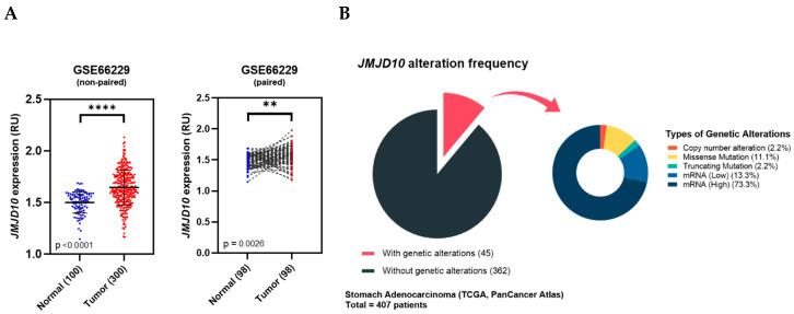 https://cdn.ncbi.nlm.nih.gov/pmc/blobs/e2c1/7281541/90c107ccc1cc/cancers-12-01141-g002.jpg