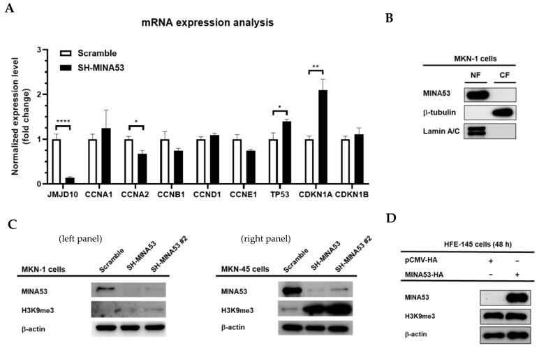 https://cdn.ncbi.nlm.nih.gov/pmc/blobs/e2c1/7281541/c114ed62a624/cancers-12-01141-g005.jpg