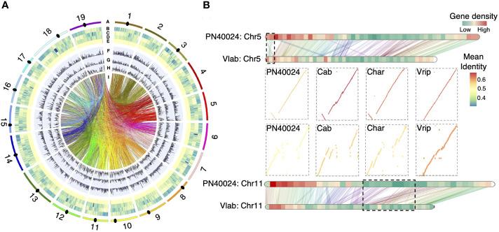 https://cdn.ncbi.nlm.nih.gov/pmc/blobs/e2c2/10501149/e2f58aea39ad/fpls-14-1234130-g001.jpg