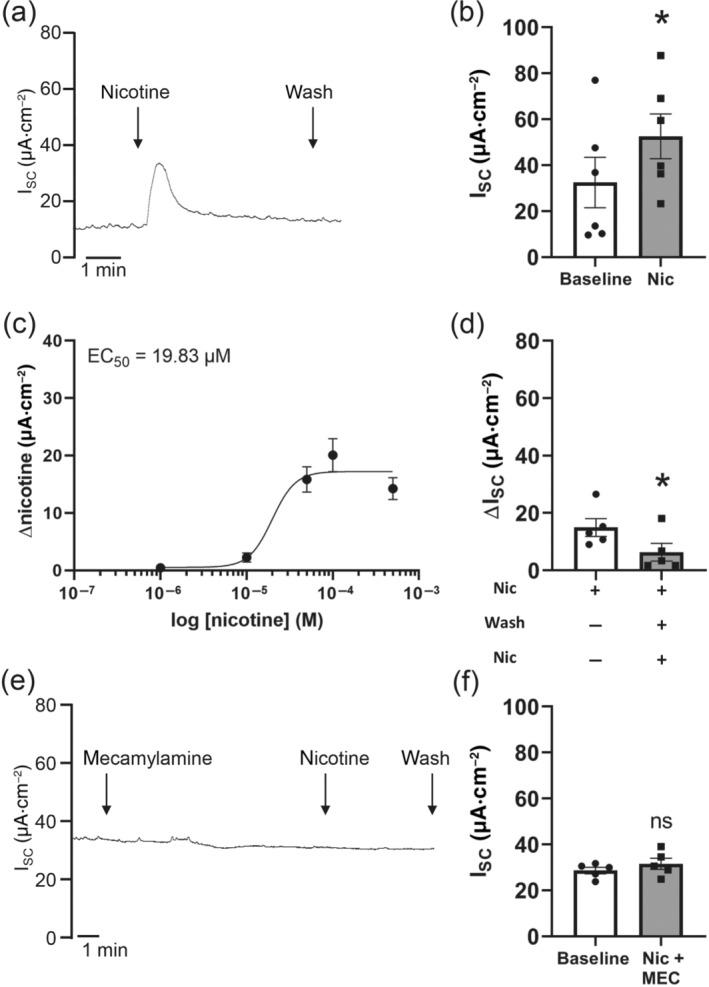 https://cdn.ncbi.nlm.nih.gov/pmc/blobs/e2c4/7707097/9821d92cc5aa/BPH-177-5595-g001.jpg