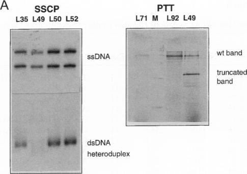 https://cdn.ncbi.nlm.nih.gov/pmc/blobs/e2c5/1914564/c716258ee7f3/ajhg00016-0008-a.jpg