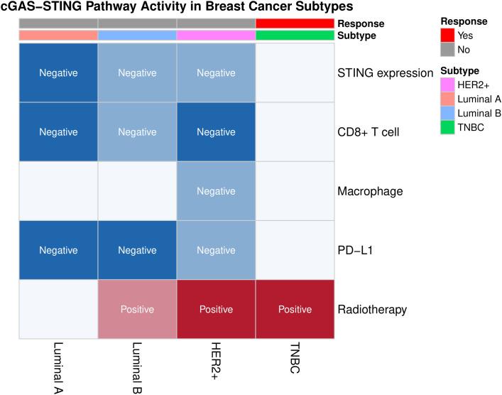 https://cdn.ncbi.nlm.nih.gov/pmc/blobs/e2c6/12188936/6efe983b032c/fonc-15-1619097-g002.jpg