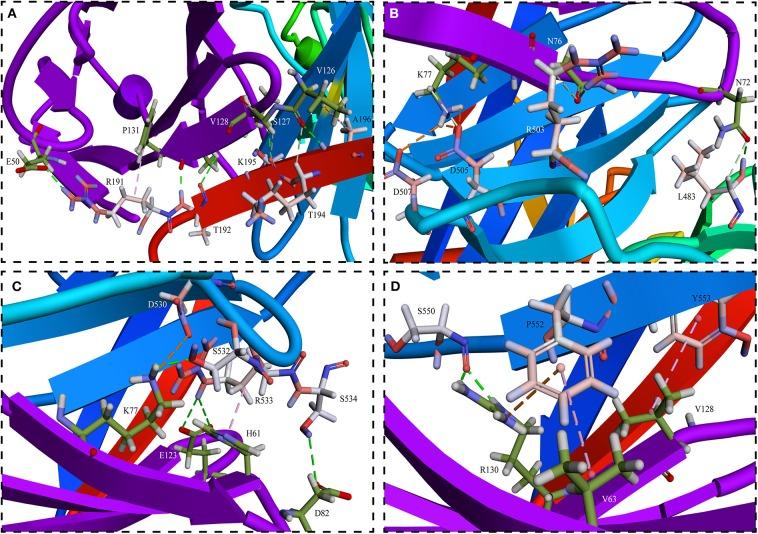 https://cdn.ncbi.nlm.nih.gov/pmc/blobs/e2c7/7059747/075cf350f500/fvets-07-00066-g0004.jpg