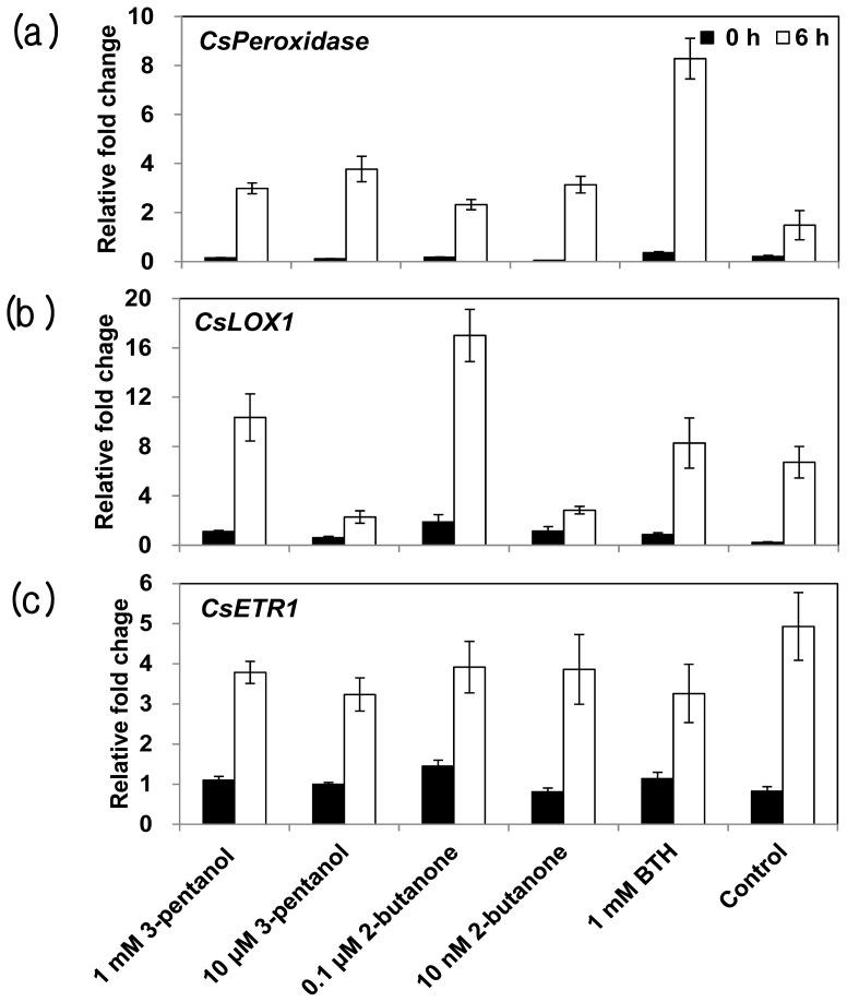 https://cdn.ncbi.nlm.nih.gov/pmc/blobs/e2c8/3676814/339dce92b6ed/ijms-14-09803f6.jpg