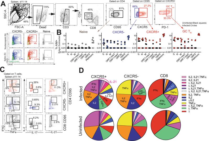 https://cdn.ncbi.nlm.nih.gov/pmc/blobs/e2c9/7822826/02abbd887aac/41467_2020_20642_Fig4_HTML.jpg