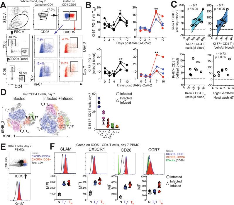 https://cdn.ncbi.nlm.nih.gov/pmc/blobs/e2c9/7822826/0410aac97599/41467_2020_20642_Fig3_HTML.jpg