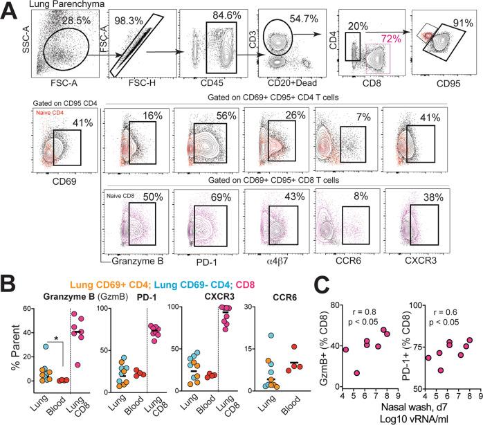 https://cdn.ncbi.nlm.nih.gov/pmc/blobs/e2c9/7822826/14b180b63b33/41467_2020_20642_Fig6_HTML.jpg