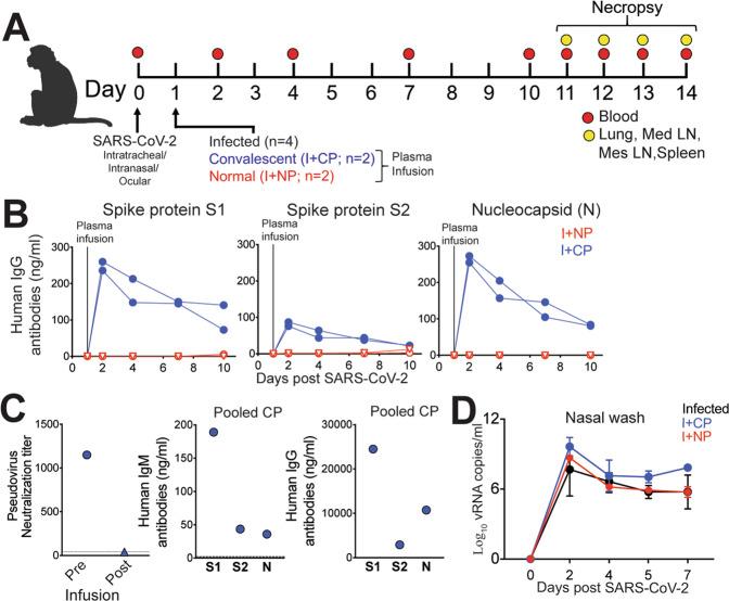 https://cdn.ncbi.nlm.nih.gov/pmc/blobs/e2c9/7822826/2c60f6d51cc6/41467_2020_20642_Fig1_HTML.jpg