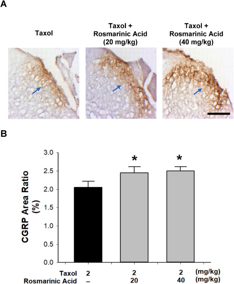 https://cdn.ncbi.nlm.nih.gov/pmc/blobs/e2cb/11068989/2b99e1354245/gr4.jpg