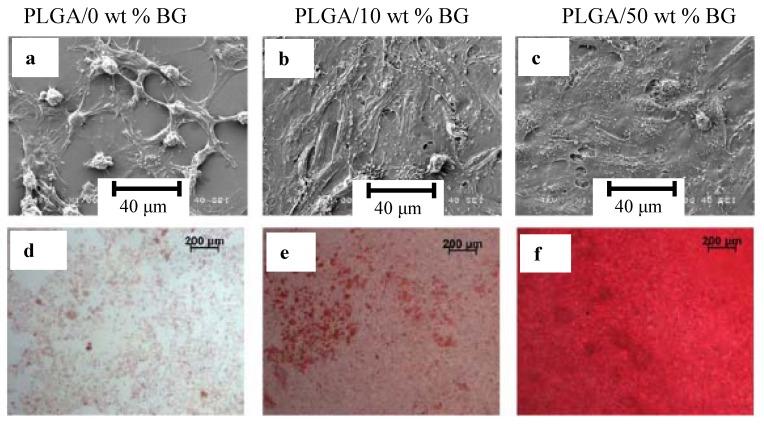 https://cdn.ncbi.nlm.nih.gov/pmc/blobs/e2cd/5445790/048bfdd68da4/materials-03-03867-g015.jpg