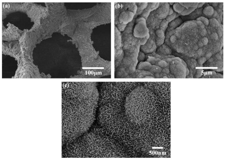 https://cdn.ncbi.nlm.nih.gov/pmc/blobs/e2cd/5445790/107ecb1093b0/materials-03-03867-g003.jpg