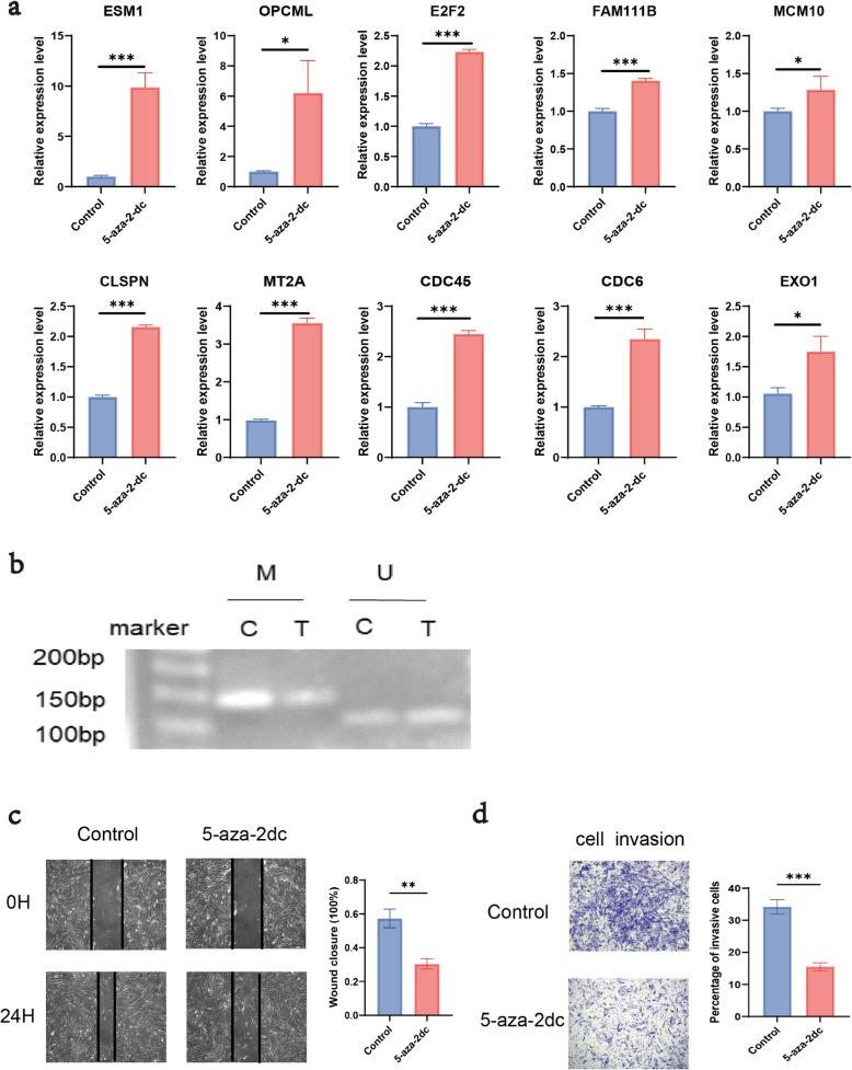 https://cdn.ncbi.nlm.nih.gov/pmc/blobs/e2ce/12082859/37f2c5859ecb/12885_2025_13833_Fig7_HTML.jpg
