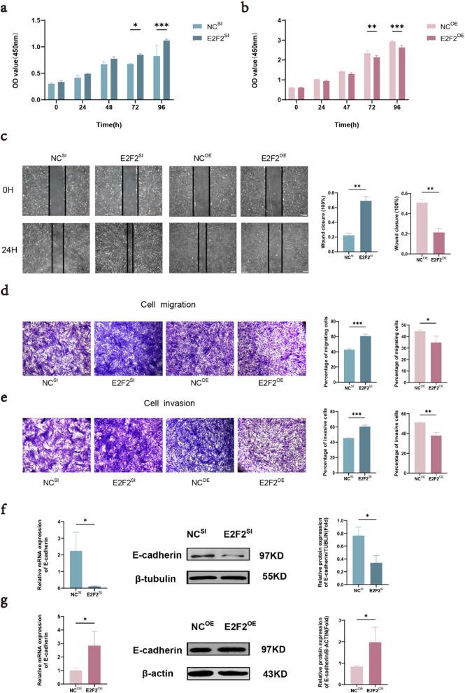 https://cdn.ncbi.nlm.nih.gov/pmc/blobs/e2ce/12082859/6bcf2cb506f8/12885_2025_13833_Fig4_HTML.jpg