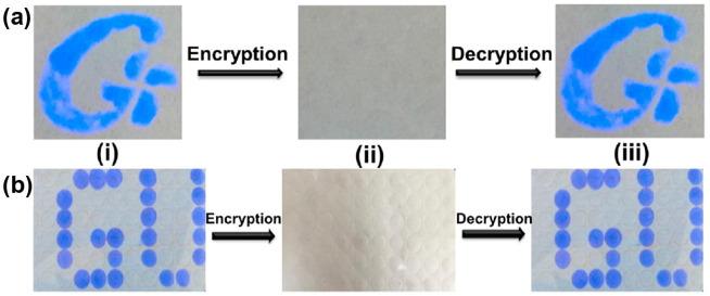 https://cdn.ncbi.nlm.nih.gov/pmc/blobs/e2ce/7500364/a8751ba6f2c5/gr46_lrg.jpg