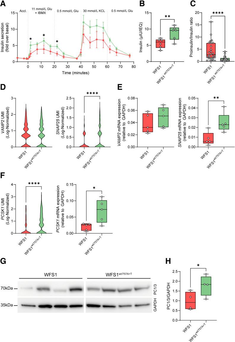 https://cdn.ncbi.nlm.nih.gov/pmc/blobs/e2cf/12185971/a43795b605ac/db240720f2.jpg