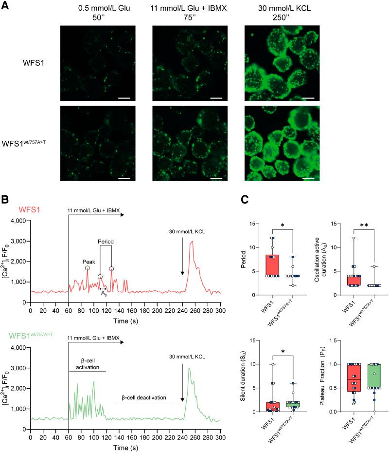 https://cdn.ncbi.nlm.nih.gov/pmc/blobs/e2cf/12185971/b0668ba6df4e/db240720f4.jpg