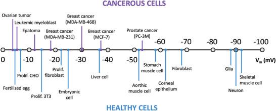 https://cdn.ncbi.nlm.nih.gov/pmc/blobs/e2d0/10767462/b046c72ec62a/ADVS-11-2304110-g002.jpg