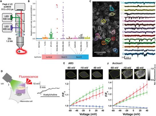 https://cdn.ncbi.nlm.nih.gov/pmc/blobs/e2d0/10767462/d7dcdfd27958/ADVS-11-2304110-g006.jpg