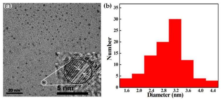 https://cdn.ncbi.nlm.nih.gov/pmc/blobs/e2d0/6780071/4c5b9b149966/polymers-11-01476-g002.jpg