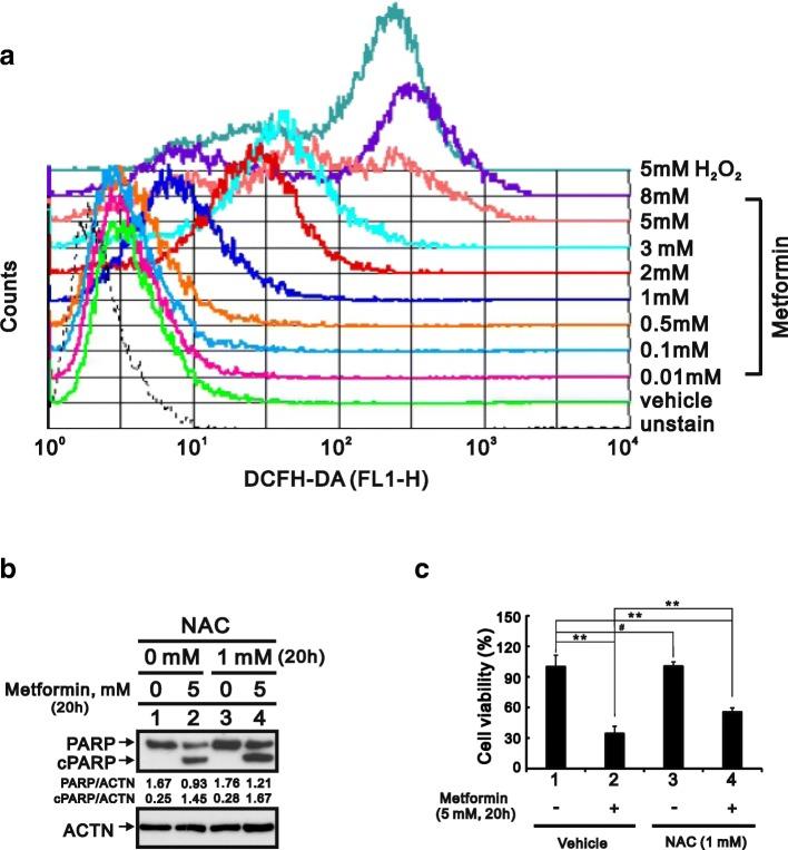https://cdn.ncbi.nlm.nih.gov/pmc/blobs/e2d2/6238313/e9a1ed6afd29/12929_2018_478_Fig3_HTML.jpg