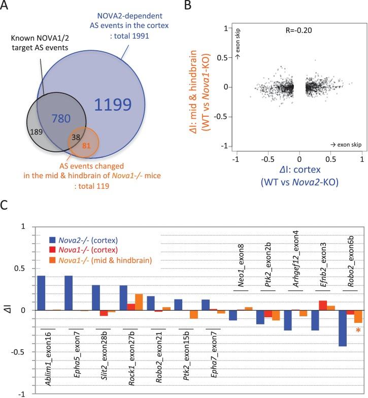 https://cdn.ncbi.nlm.nih.gov/pmc/blobs/e2d4/4930328/62826558c509/elife-14371-fig3-figsupp4.jpg
