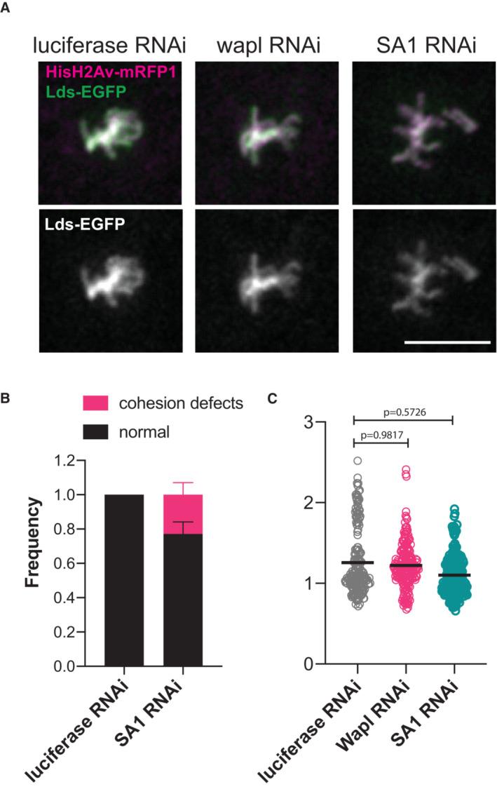 https://cdn.ncbi.nlm.nih.gov/pmc/blobs/e2d5/10481674/194ccbd6d86e/EMBR-24-e56463-g014.jpg