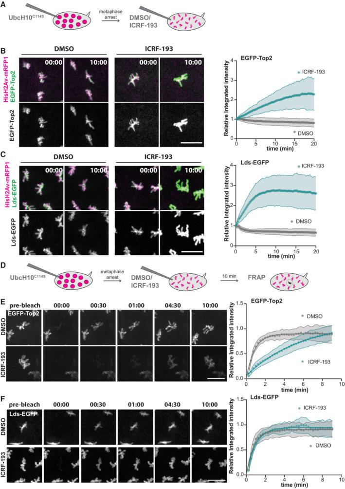 https://cdn.ncbi.nlm.nih.gov/pmc/blobs/e2d5/10481674/3e6db68791f4/EMBR-24-e56463-g012.jpg