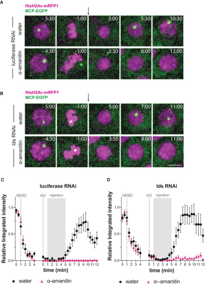 https://cdn.ncbi.nlm.nih.gov/pmc/blobs/e2d5/10481674/8170b28bfb79/EMBR-24-e56463-g006.jpg