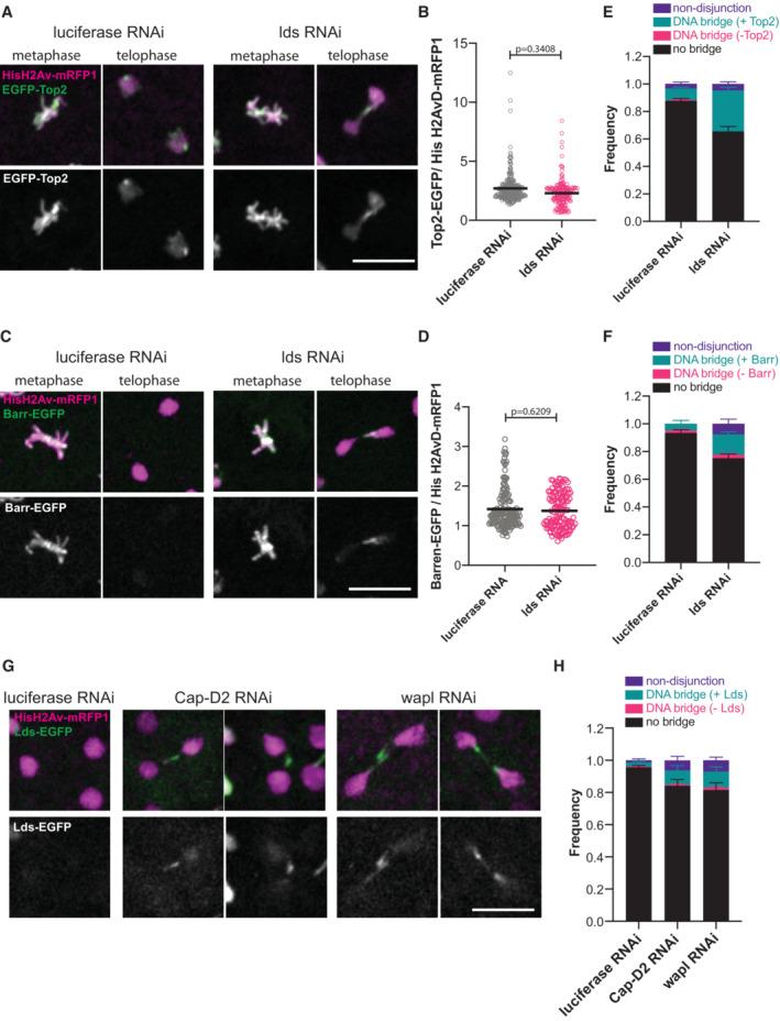 https://cdn.ncbi.nlm.nih.gov/pmc/blobs/e2d5/10481674/b124244fa745/EMBR-24-e56463-g010.jpg